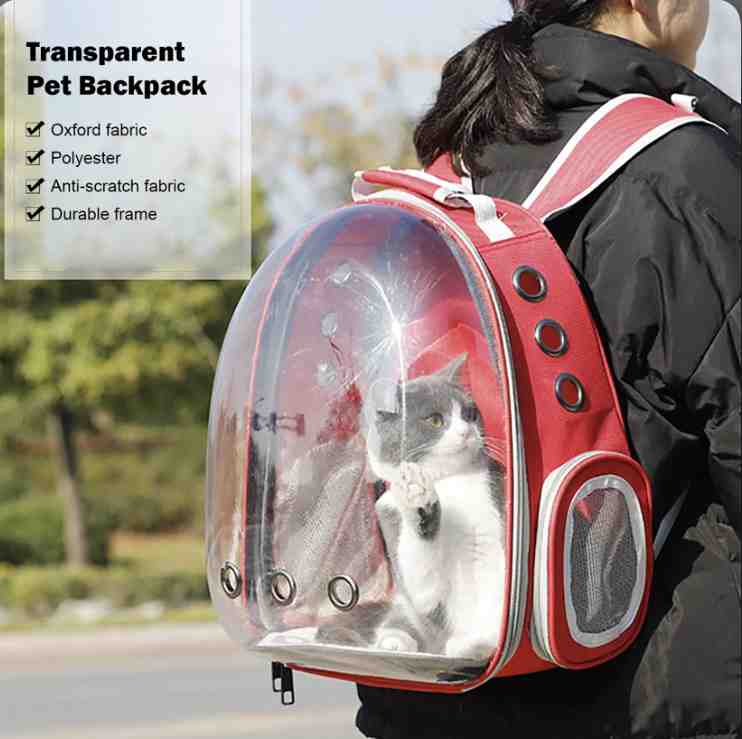 MOCHILA TRANSPARENTE   (COLORES SURTIDOS )